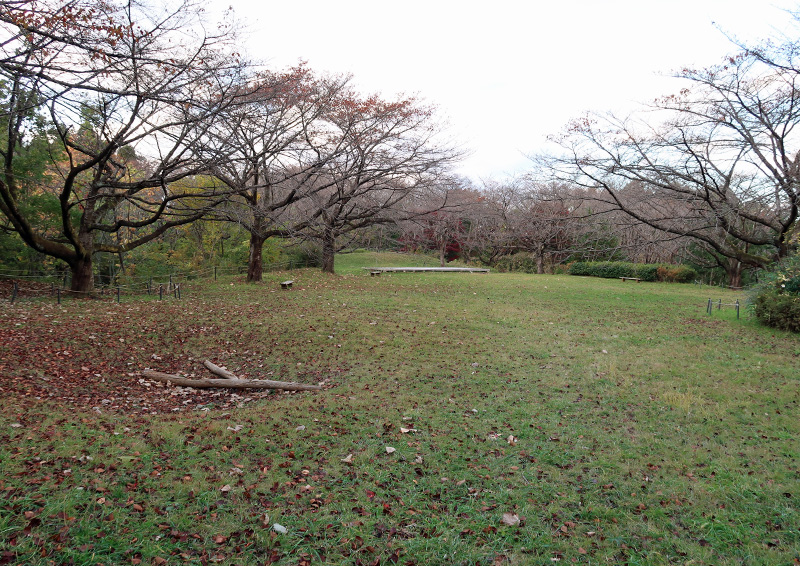 長命館公園