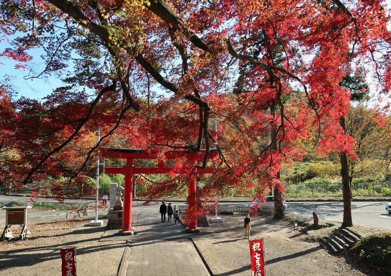 加茂神社の紅葉