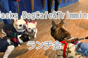 Jacks DogCafe&Trimming （ジャックス） 錦ケ丘ヒルサイドモール