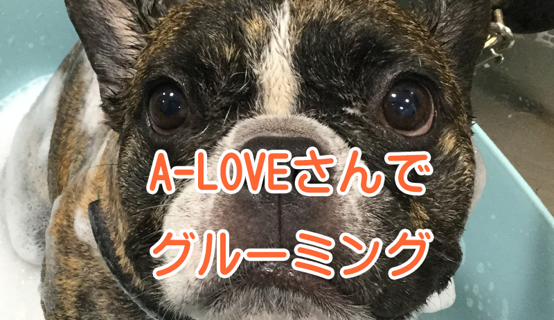 A-LOVE 八乙女店