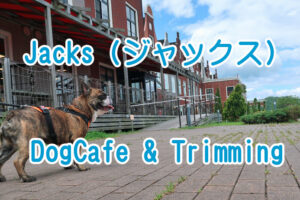 Jacks DogCafe&Trimming （ジャックス）